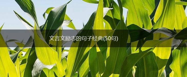 文言文励志的句子经典(50句),第1张