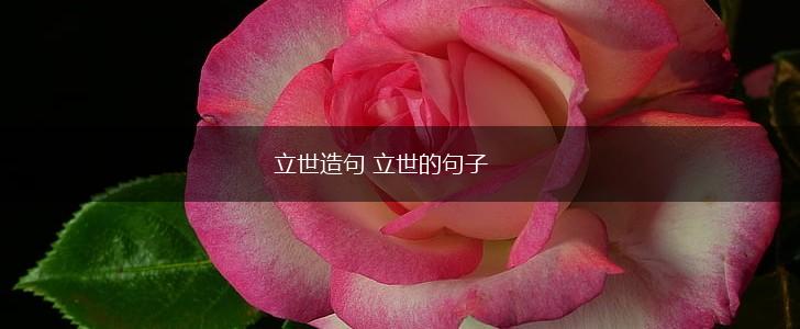 立世造句 立世的句子,第1张