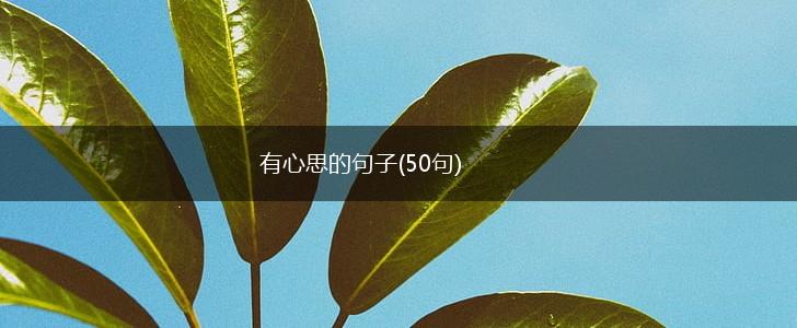 有心思的句子(50句),第1张