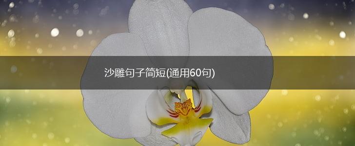 沙雕句子简短(通用60句),第1张