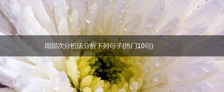 用层次分析法分析下列句子(热门10句),第1张