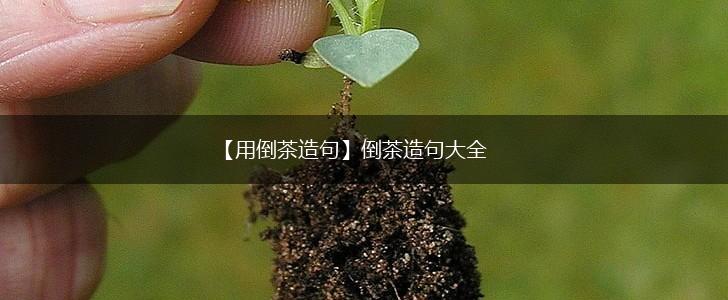 【用倒茶造句】倒茶造句大全,第1张