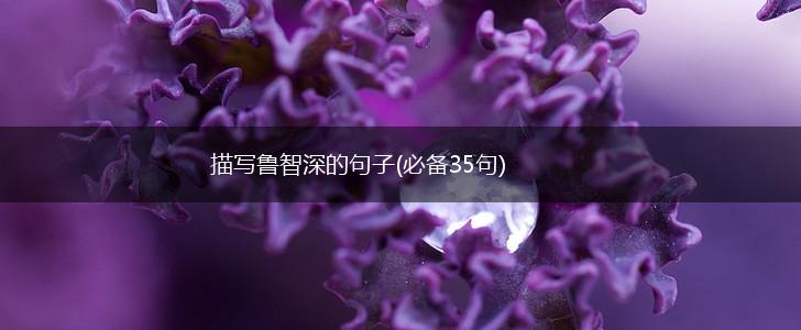 描写鲁智深的句子(必备35句),第1张