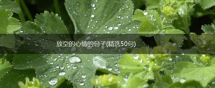 放空的心情的句子(精选50句),第1张