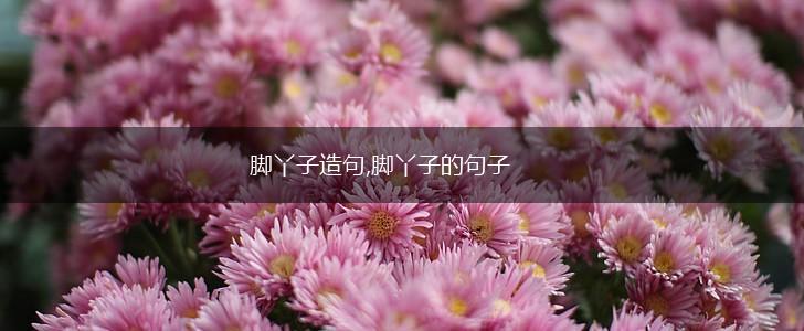 脚丫子造句,脚丫子的句子,第1张