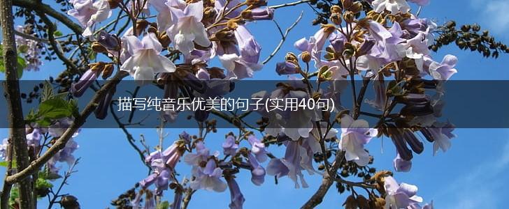 描写纯音乐优美的句子(实用40句),第1张