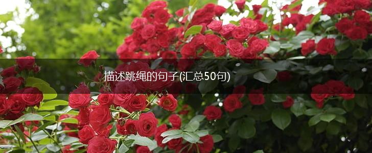 描述跳绳的句子(汇总50句),第1张