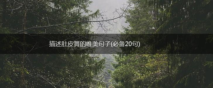 描述肚皮舞的唯美句子(必备20句),第1张