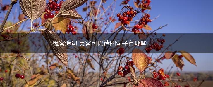 鬼客造句 鬼客可以造的句子有哪些,第1张