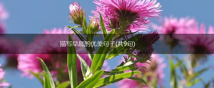 描写早晨的优美句子(共9句),第1张
