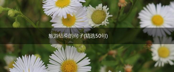 旅游结束的句子(精选50句),第1张