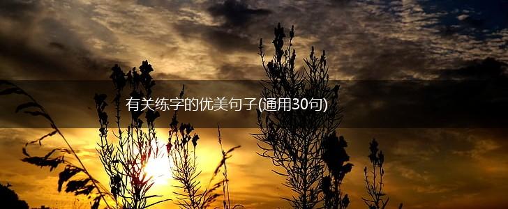 有关练字的优美句子(通用30句),第1张