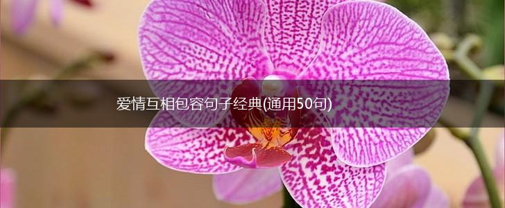 爱情互相包容句子经典(通用50句),第1张