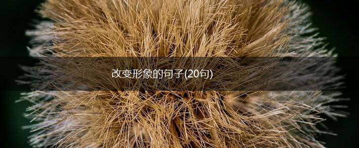 改变形象的句子(20句),第1张