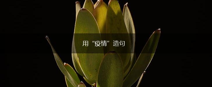 用“疫情”造句,第1张