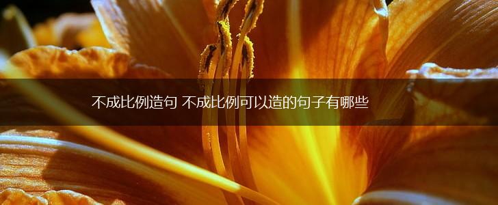 不成比例造句 不成比例可以造的句子有哪些,第1张