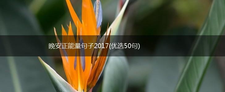 晚安正能量句子2017(优选50句),第1张