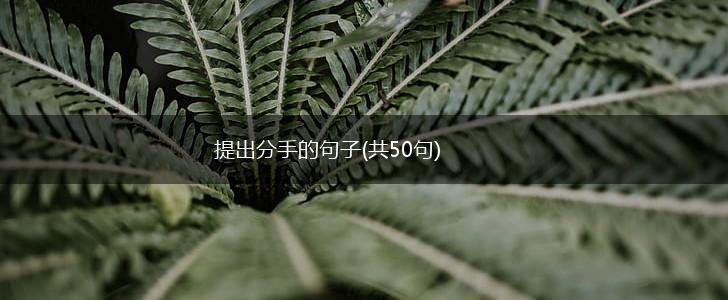 提出分手的句子(共50句),第1张