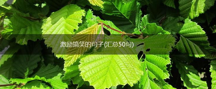 激励搞笑的句子(汇总50句),第1张