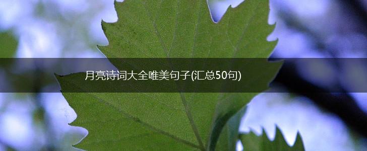 月亮诗词大全唯美句子(汇总50句),第1张