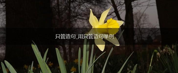 只管造句_用只管造句举例,第1张