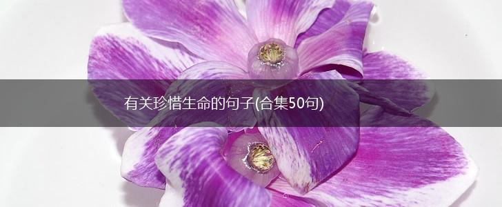 有关珍惜生命的句子(合集50句),第1张
