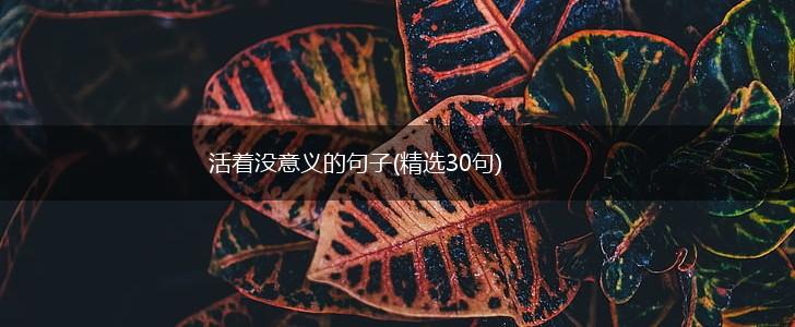 活着没意义的句子(精选30句),第1张