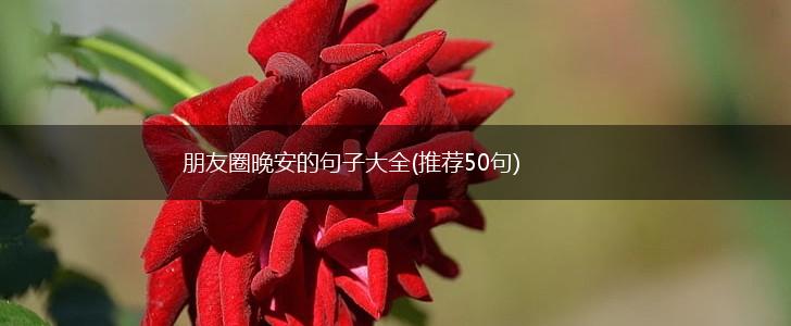 朋友圈晚安的句子大全(推荐50句),第1张