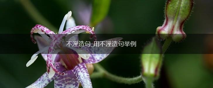 不淫造句_用不淫造句举例,第1张