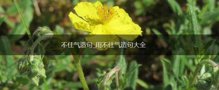 不住气造句_用不住气造句大全,第1张