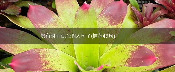 没有时间观念的人句子(推荐49句),第1张