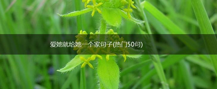 爱她就给她一个家句子(热门50句),第1张