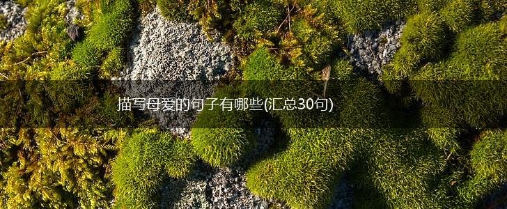 描写母爱的句子有哪些(汇总30句),第1张