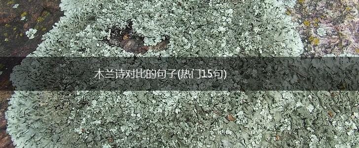 木兰诗对比的句子(热门15句),第1张