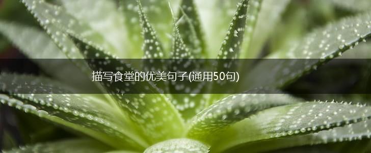 描写食堂的优美句子(通用50句),第1张
