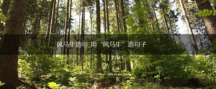 风马牛造句_用“风马牛”造句子,第1张