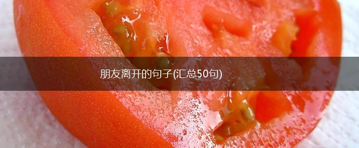 朋友离开的句子(汇总50句),第1张