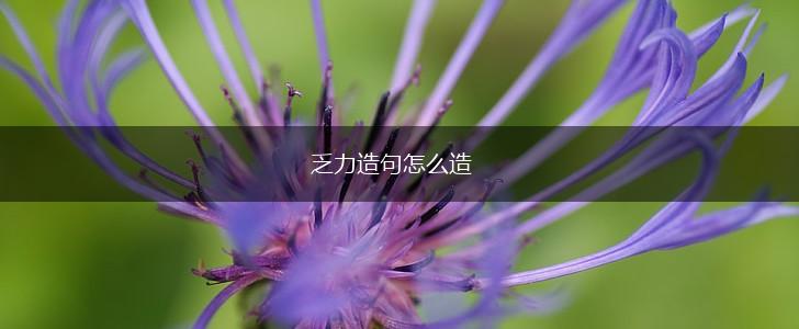 乏力造句怎么造,第1张