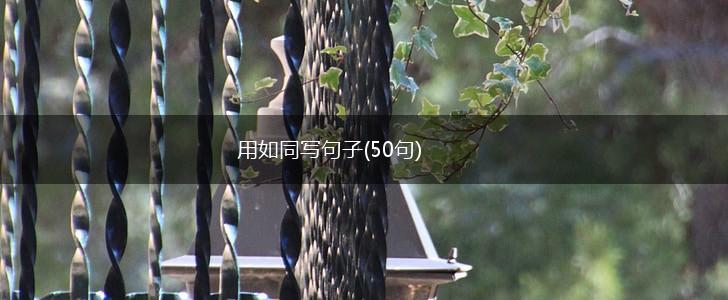 用如同写句子(50句),第1张