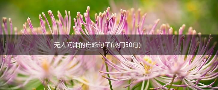 无人问津的伤感句子(热门50句),第1张
