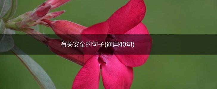 有关安全的句子(通用40句),第1张