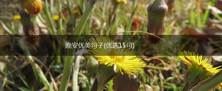 晚安优美句子(优选15句),第1张