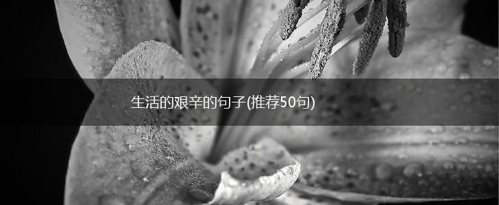 生活的艰辛的句子(推荐50句),第1张