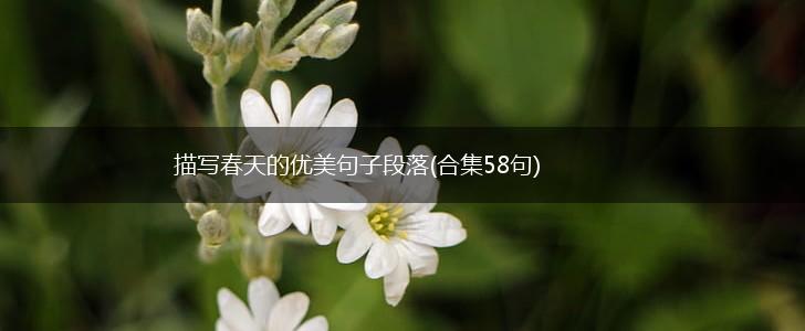 描写春天的优美句子段落(合集58句),第1张