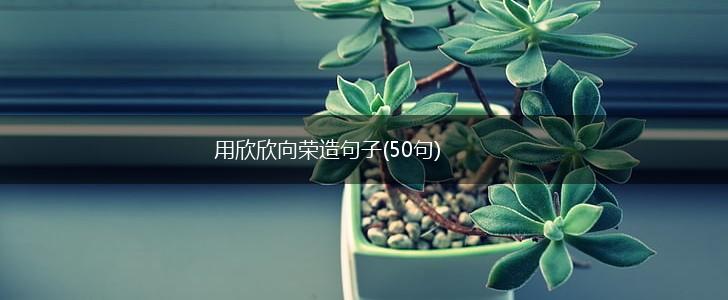 用欣欣向荣造句子(50句),第1张