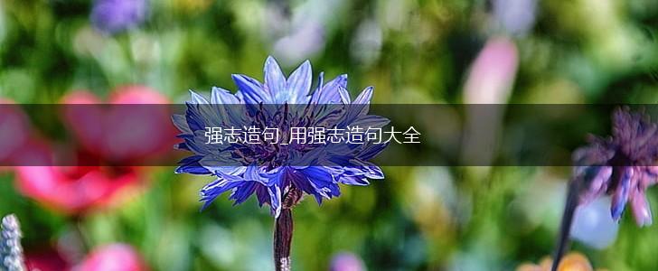 强志造句_用强志造句大全,第1张