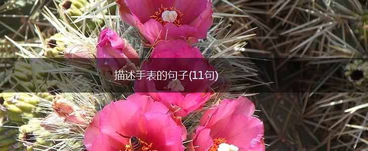 描述手表的句子(11句),第1张