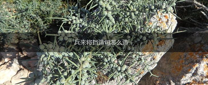 兵来将挡造句怎么造,第1张