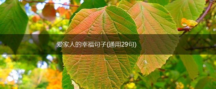 爱家人的幸福句子(通用29句),第1张