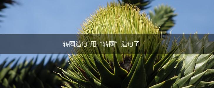 转圈造句_用“转圈”造句子,第1张